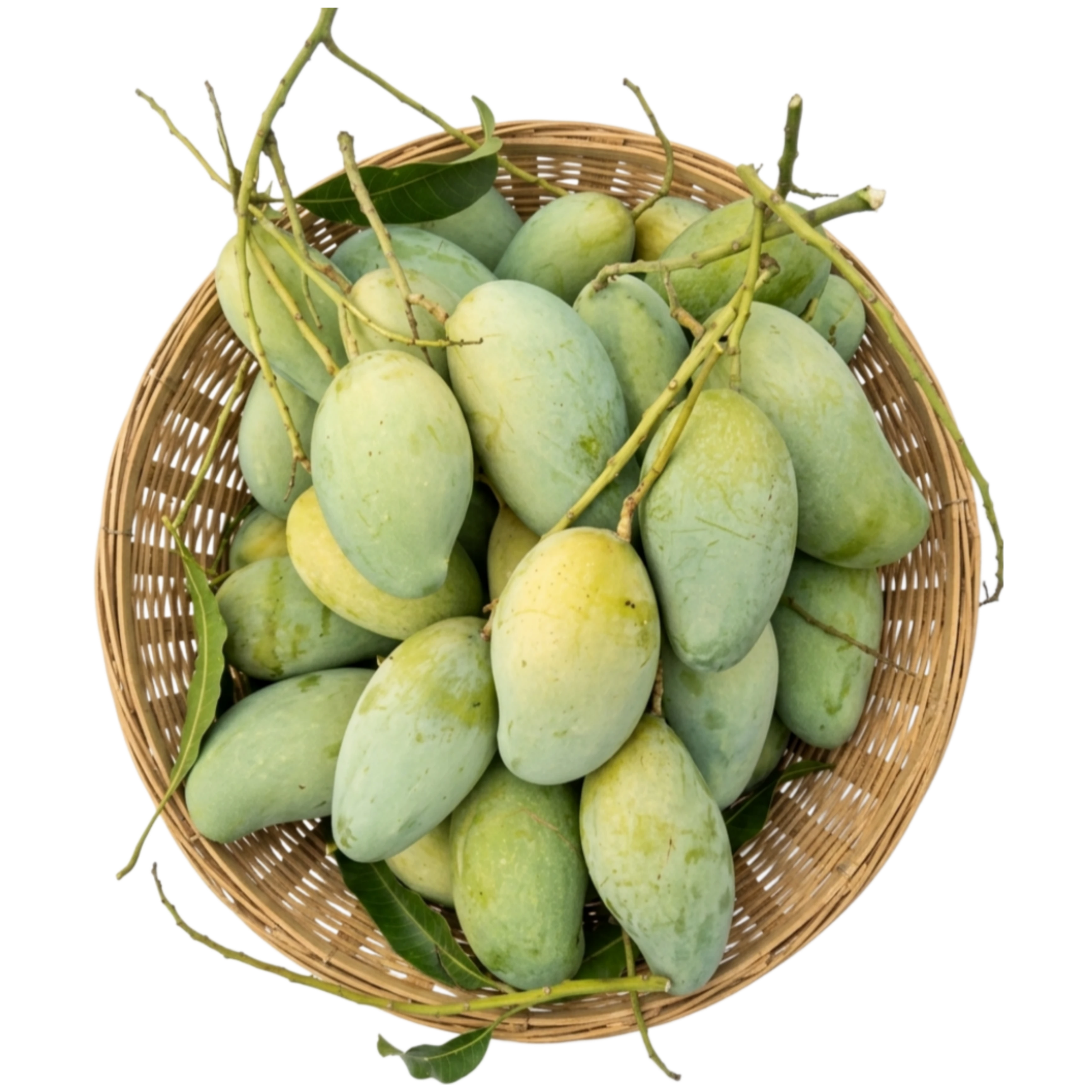 Amrapali Mango